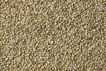 millet